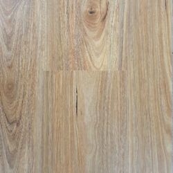 Spotted Gum