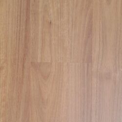 Qld Spotted Gum