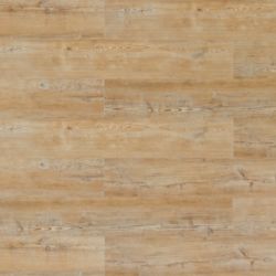 Arcadian_Soya_Pine Arcadian_Soya_Pine