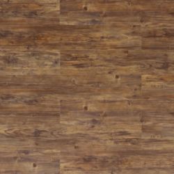 Century_Fwan_Pine Century_Fwan_Pine