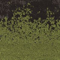 BARK EDGE MIDNIGHT GREEN