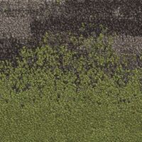 BARK EDGE STORM GREEN