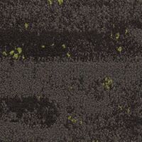 BARK PLUS MIDNIGHT GREEN