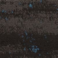 BARK PLUS MIDNIGHT SKY