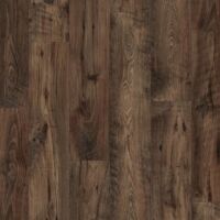 Chest Nut Brown