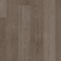 long island Oak Light