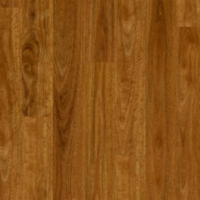 Spotted Gum