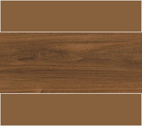 BLACKWOOD (MIPLANK ACOUSTIC)