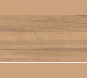 SASSAFRAS (MIPLANK ACOUSTIC)