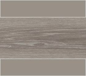 SILVER BIRCH (MIPLANK ACOUSTIC)