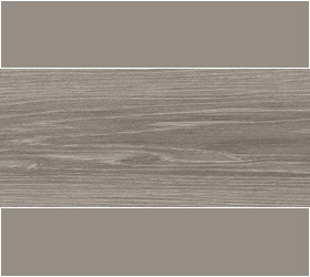 SILVER BIRCH