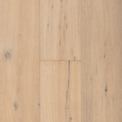 1904 Chanson 1904 Chanson