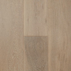 1906 Urchin Grey 1906 Urchin Grey