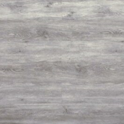 DP 1307 Ghost Gum