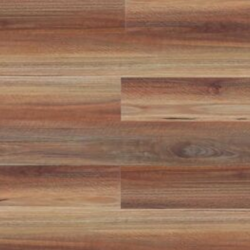 DP 1324 Rainforest Spotted Gum