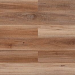 DP 1326 Western Spotted Gum