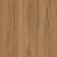 Spotted Gum